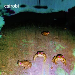 Cairobi
