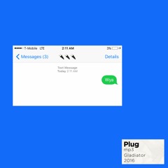 Plug