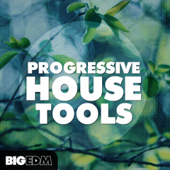 Progressive House Tools [Construction Kits, Melody & Drum Loops, Presets] OUT NOW on Beatport!