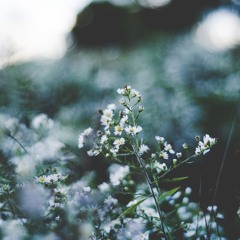 Thaw Is Tears Of Winter