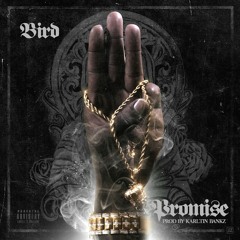Promise x Bird prod.karltinbankz
