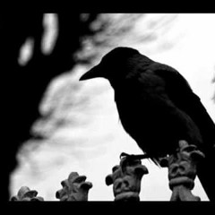 Bleak   Forgotten Days