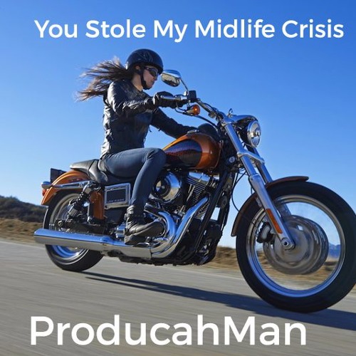 You Stole My Midlife Crisis