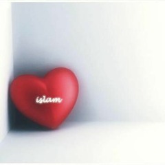 The Daily Reminder Islam