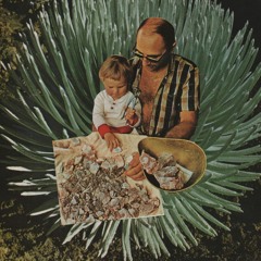 SE7E X DETTONA #4 - Folhas de Outono