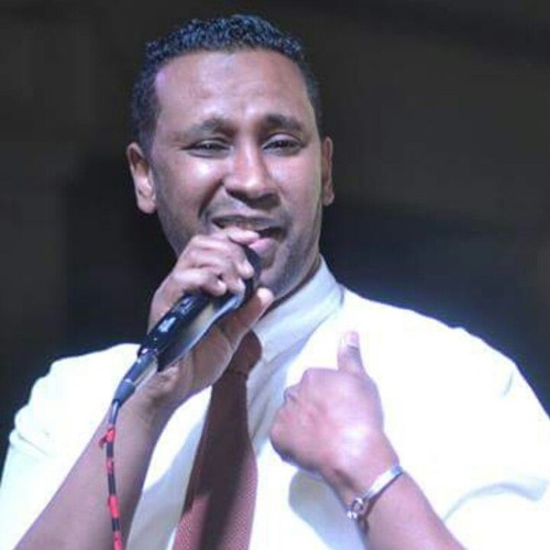 شرقاوى الليل الهادى