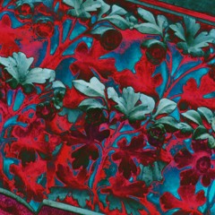 Großstadtwolf (Demo)