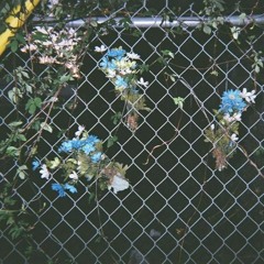 Love Yourself (Vocals Only)