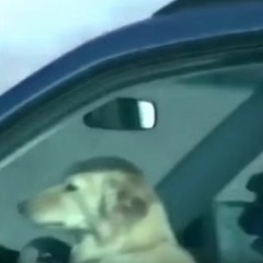 Bones - OkayButThisIsTheLastTime with distortion and bass boost