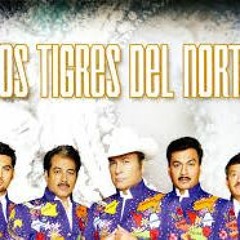 Los Tigres Del Norte Mix 2- La Puerta Negra, La Mesa del Rincon, Carta Abierta, etc.