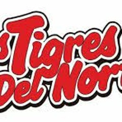 Tigres Del Norte Mix 1- La Camioneta Gris, Jaula de Oro, Los Tres Amigos, etc.