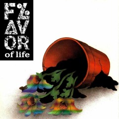 FLAVOR OF LIFE / KITONOA