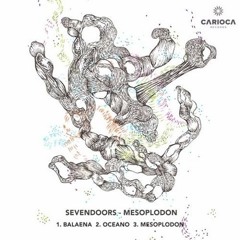 Mesoplodon (Carioca)