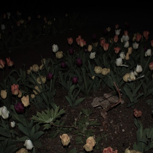 imperfections prod. owen ardell