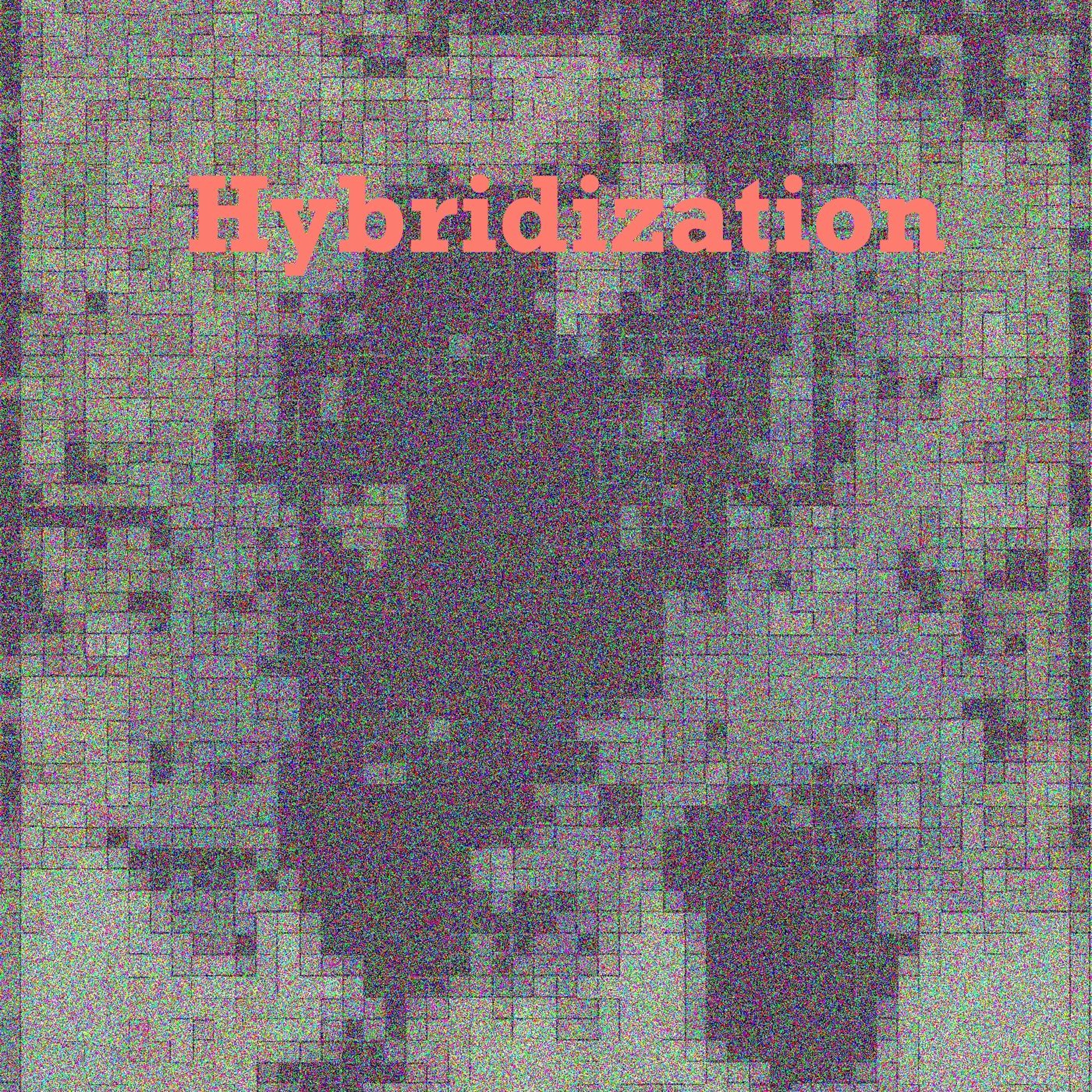 Hybridization episode artwork