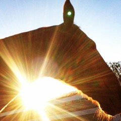 Summer Solstice Meditation