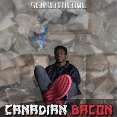 SenseiTheOwl - Canadian Bacon