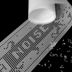 Patterns to punctuate song, with darkness