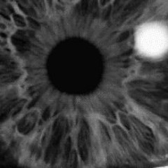 I Don't Even Care Instrumental