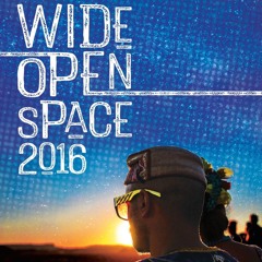Wide Open Space Festival 2016