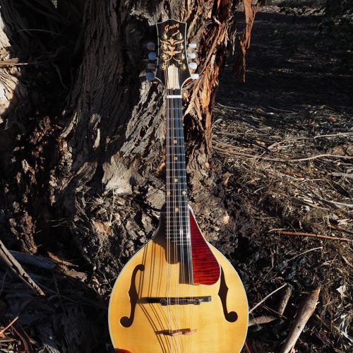 Stream Wildwood Flower played on a Gray A5 mandolin by Nic Gellie