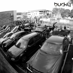 Bucky - 90