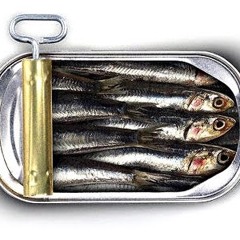 eskalation in der sardinenbüchse