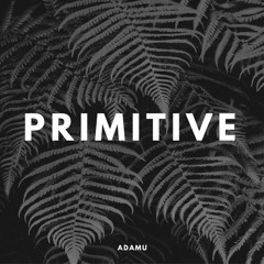 Moste - Primitive [PRI01]