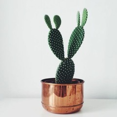 Na minha casa não tem mais ninguém