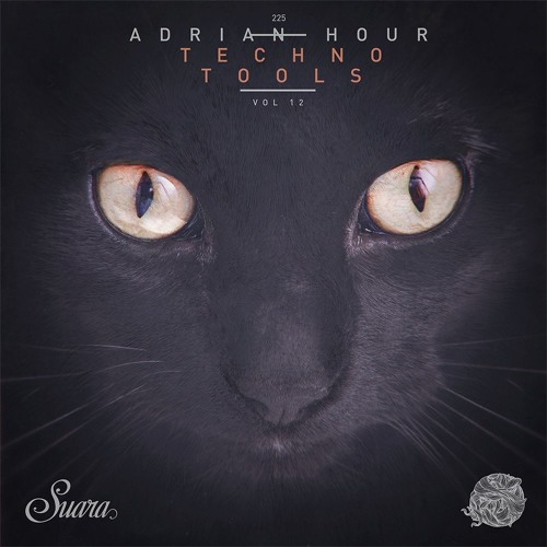Premiere: Adrian Hour - Connected [Suara]