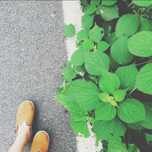 green