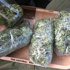 Boof Pacc