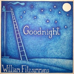 I Don't Love You Anymore-William Fitzsimmons