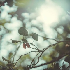 Anh đã biết - Lục Huy