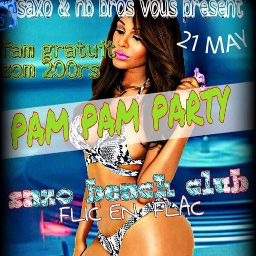 Dj ChUpa ChUp's - Pam_pam Party.... :P