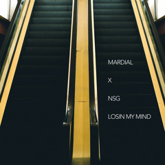 Mardial X NSG - LOSIN MY MIND