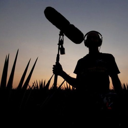 Field recording: México