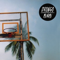 DRONGO - MIAMI