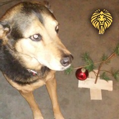 All Night Pressure | Soul Shakedown Party