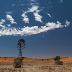Kalahari Barking Geckos By Gerhard Huebner