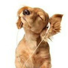 Я Всего Лишь СД (Bushido Instr)-SD.mp3