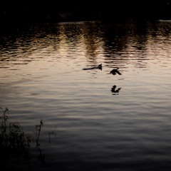 Ved vann der jeg finner hvile / By water where I can rest.