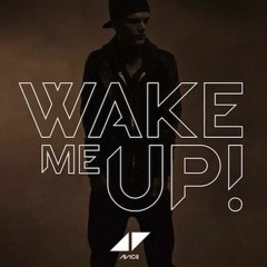 Wake Me Up / Without You / Satisfaction / Good Feeling / Starships - miiro MASHUP