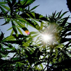 Wake Up - Ft. Yoshee