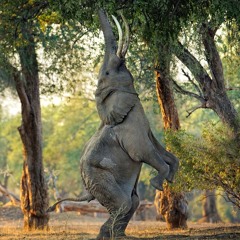 3sleeves (ft. M.DaLow) - Melodic Mantra 2