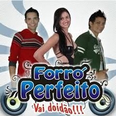 04-FORRÓ PERFEITO-MENINA PAVORÔ-BY ALCIDONIO ÉH MÚSICA DIVULGADA DE VERDADE.