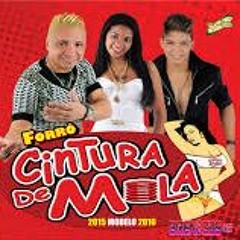 01-FORRÓ CINTURA DE MOLA-DOIDO DOIDO-BY ALCIDONIO ÉH MÚSICA DIVULGADA DE VERDADE.