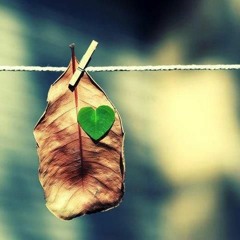 bencheneT - rani ...?