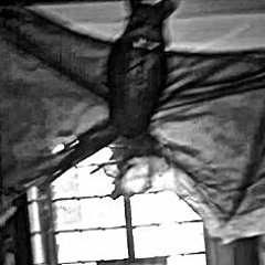 Lapin kult 101...GOD WAS WRONG...Jeudi 2 janvier 2014...