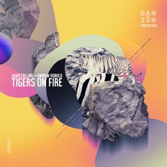 Adam Collins & Andrew Hobold presents Tigers On Fire - Light Up The Beat (Andy Martin Remix)